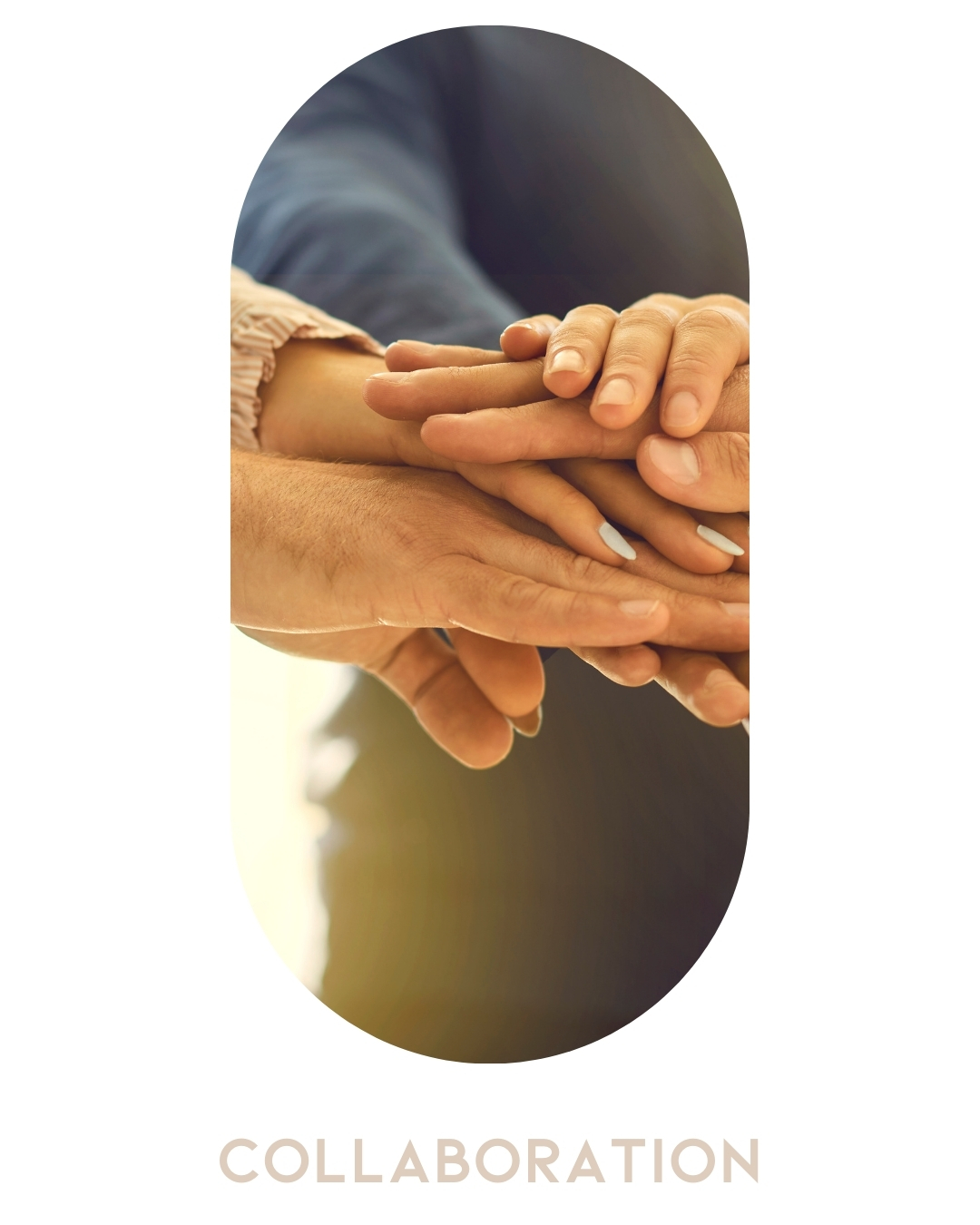 nos valeurs : collaboration